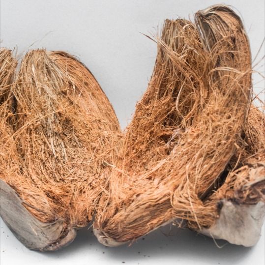 Coconut Husk